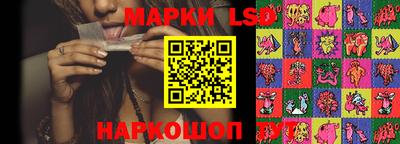 шишки Будённовск