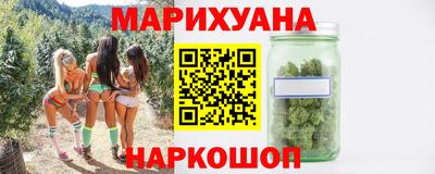 шишки Будённовск