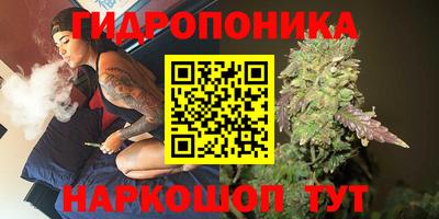 шишки Будённовск