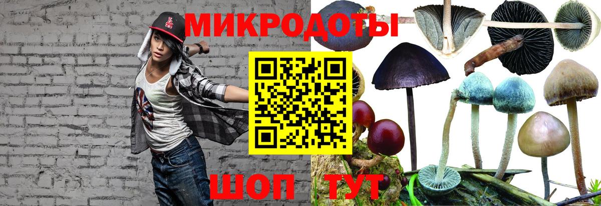 Киреевск  Галлюциногенные грибы мухоморы  хочу наркоту  Вход с VPN  Псилоцибиновые грибы мицелий 